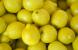 Exportan cáscaras de limón a Europa