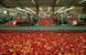 Argentina y China fortalecen la apertura comercial de alimentos