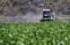 Récord histórico para el campo: 119 millones de toneladas cosechadas