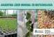 Argentina cuenta con dos nuevos eventos biotecnológicos para el Agro